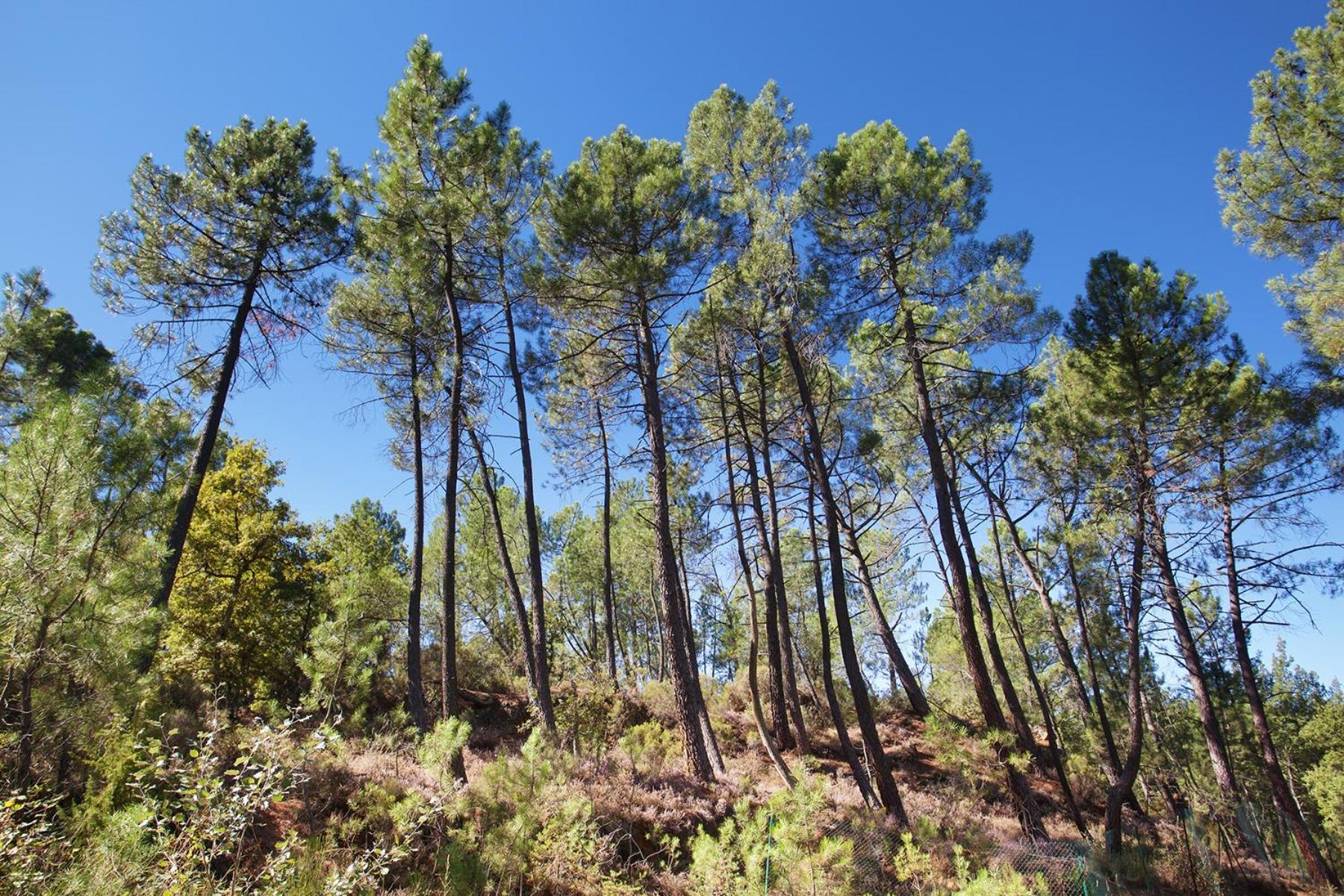 Domaine Les Petites Vaines Ξενοδοχείο Goult Δωμάτιο φωτογραφία