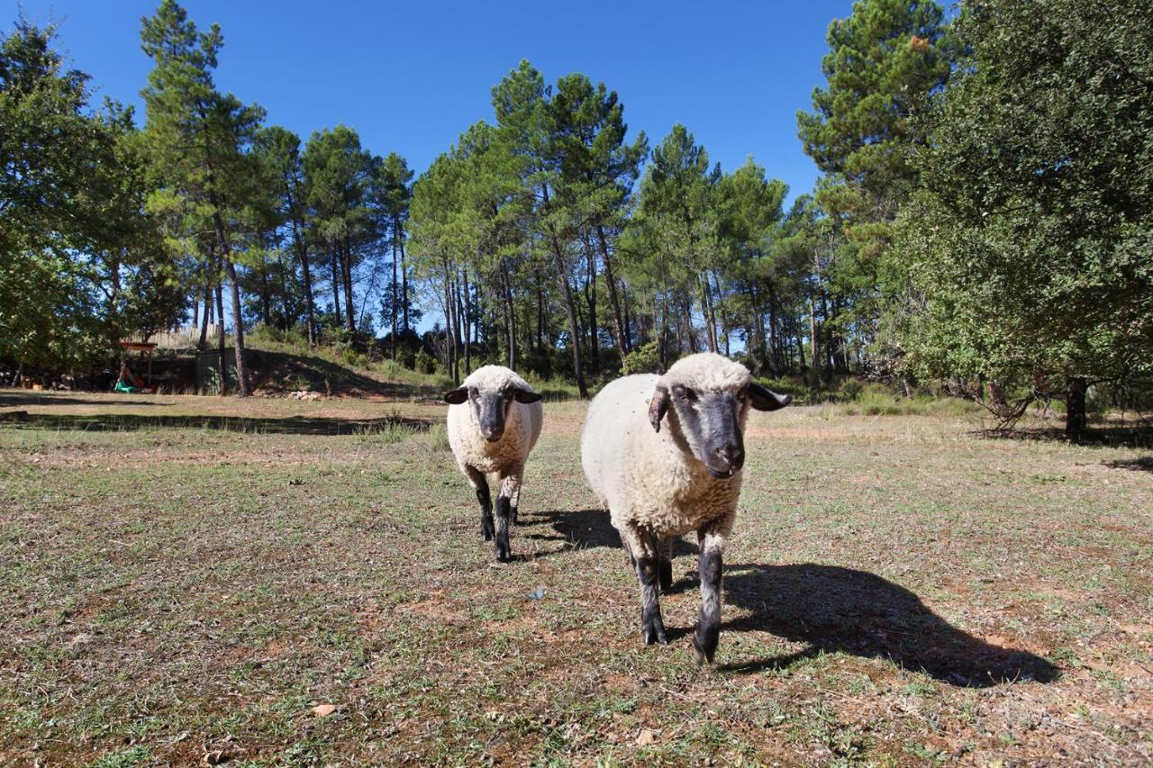 Domaine Les Petites Vaines Ξενοδοχείο Goult Εξωτερικό φωτογραφία